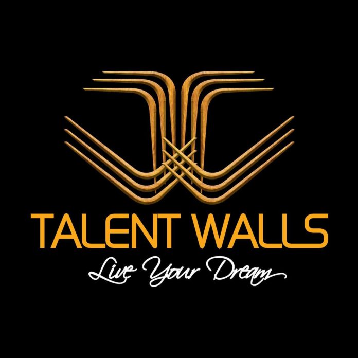 Talent walls Social Entrepris Platform for youth talents
