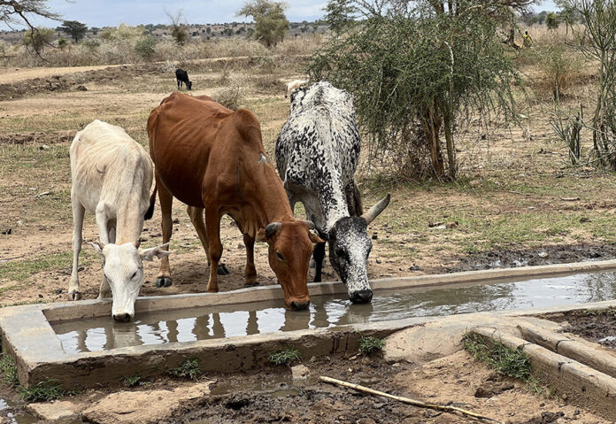 Empowering Communities Through the Feed the Future Water and Food Systems Activity
